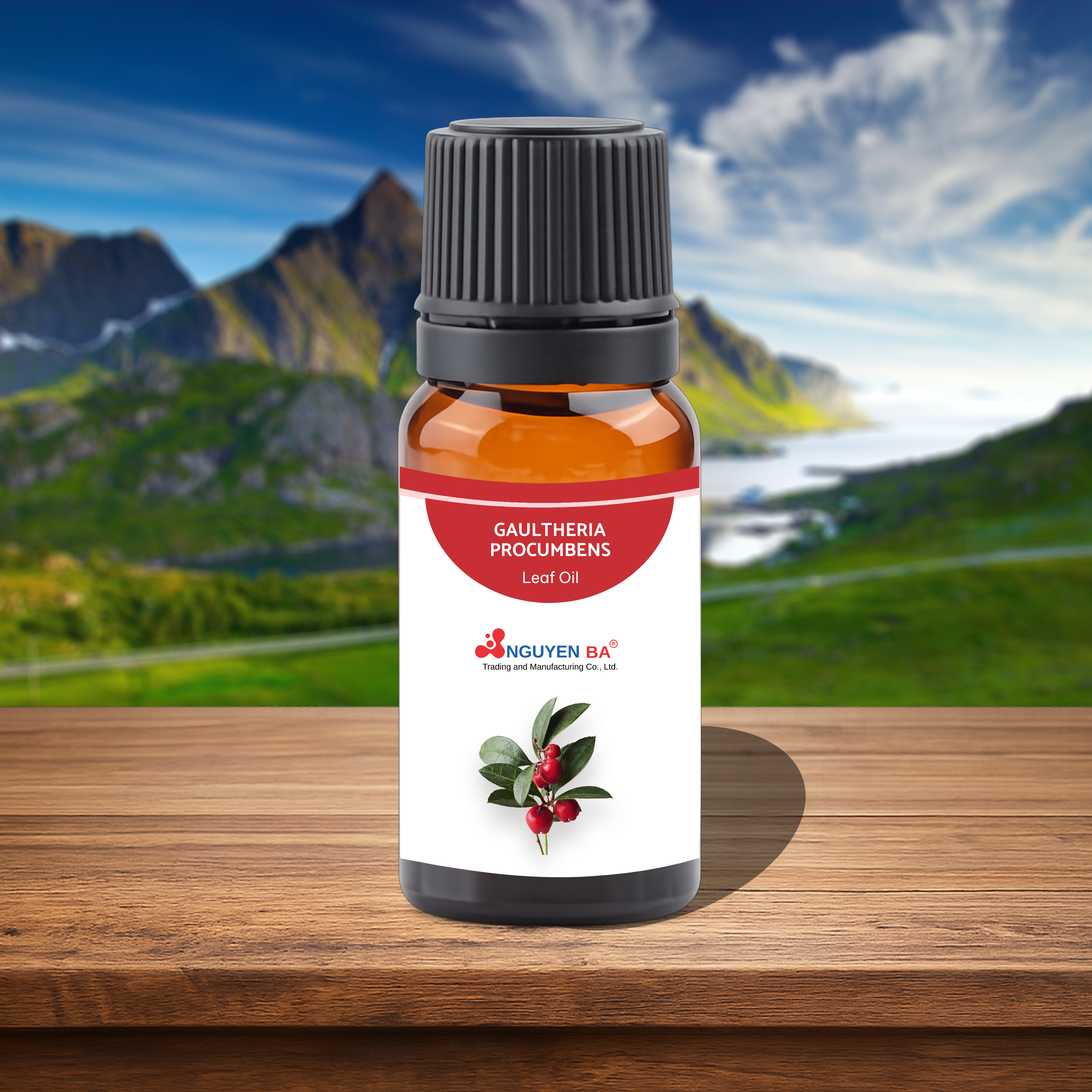 Tinh dầu Lộc đề xanh - Gaulthena Procumbens Leaf Oil